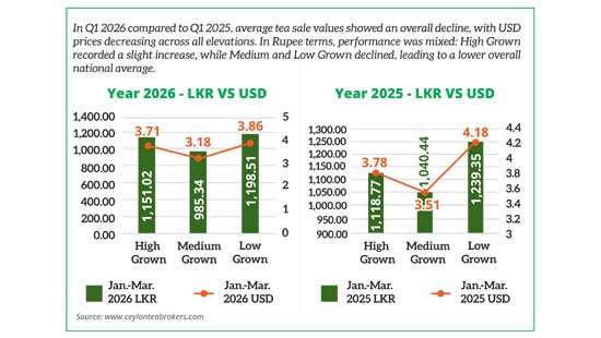 Tea Industry Overview of 2026 First Quarter