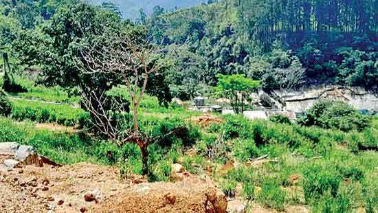 Dismay for Ditwah victims: Government’s relief policies,  compensation mechanisms become a matter of significant concern