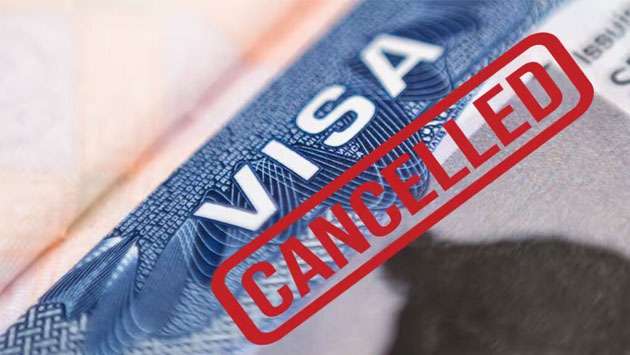Trump administration has revoked 80,000 non-immigrant visas, US official says