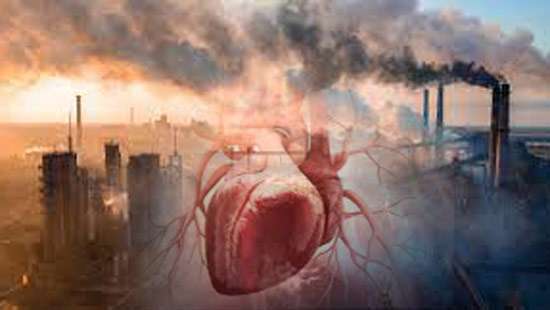 Air pollution triggered heart diseases visible in Sri Lanka : Expert