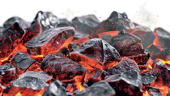 Energy crisis  if coal tender cancelled,  Govt weighs options