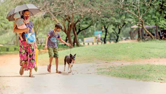 “I’M NOT SHY TO ASK FOR HELP WHEN IT COMES TO ANIMALS” TASHIYA CAPTAIN   justice for animals