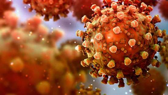 19 COVID patients with Delta variant found in multiple areas