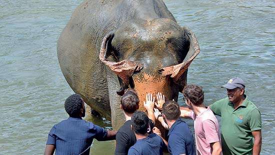 Tourist arrivals off to strong start in August, cumulative arrivals cross 1.4 mn 