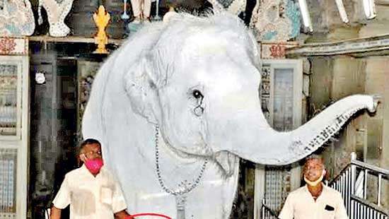 Buddhists, Hindus  believe in the power of White Elephant to subdue enemies