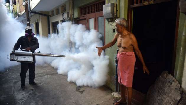 Dengue fight in full swing