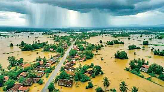 Cyclone Ditwah: An Overlooked Environmental Tragedy