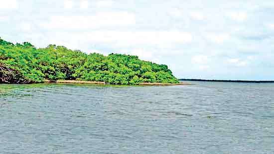 Environmental Foundation  takes up cudgels against aquaculture park within  Nature Reserve