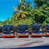 Pilot bus sector clustering programme approved