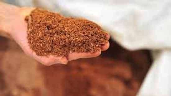 G7 steps up efforts to break China’s grip on critical minerals