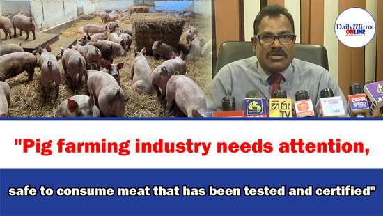 ’’Pig farming industry needs attention, safe to consume meat that has been tested and certified’’