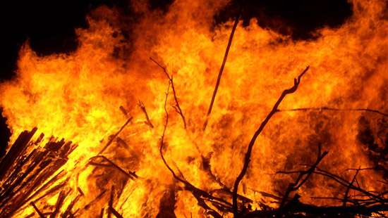 Poultry farm fire kills over 8,000 chicken at Kotadeniyawa