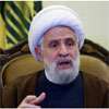 Hezbollah elects Naim Qassem to succeed slain head Nasrallah