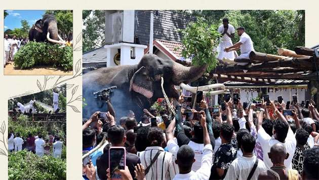 Athupandalama ritual held