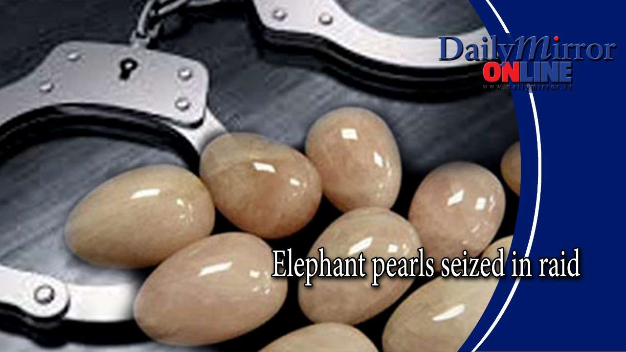 Elephant pearls seized in raid