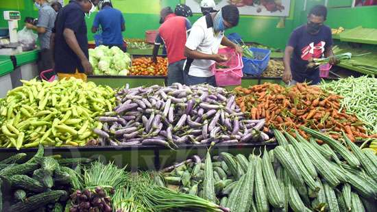 Veggies in abundance