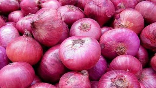 Sri Lanka’s attempt to secure big onions from India fails