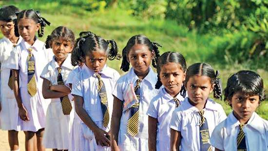 Estate sector needs more income-generating avenues to keep children in school: IPS