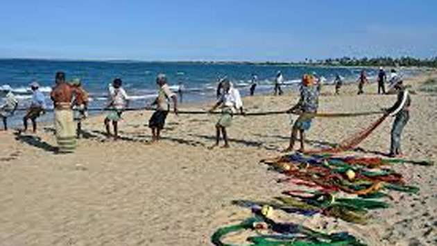 No new laws on Beach Seine fishing