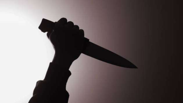 Seven individuals stabbed by psychiatric patient