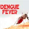 Dengue cases surpass 40,000 mark