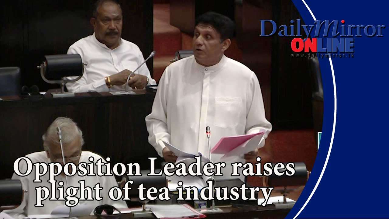 Opposition Leader raises plight of tea industry