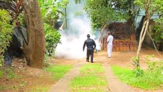 Special islandwide dengue control programme as cases rise