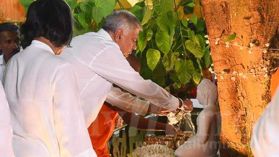 Bodhi Pooja at Temple Trees