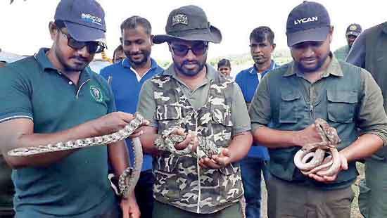 Serpents released to Kalawewa national park