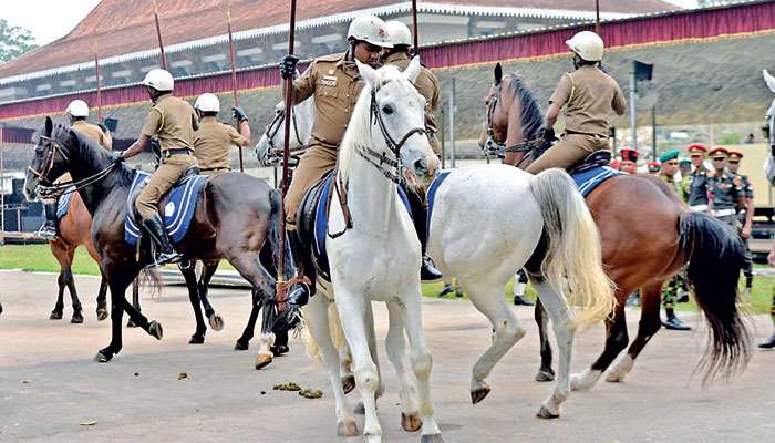 Police horseman loses control of his steed during Independance  day rehearsals