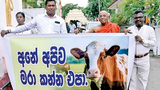 Beefing up the ban on cattle slaughter