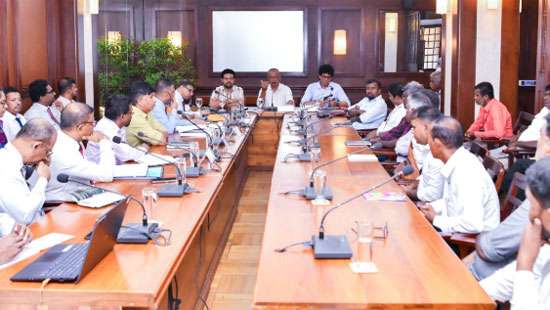 Govt to boost paddy production by limiting rice imports