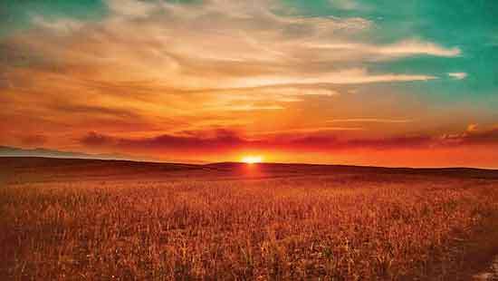 A Love Letter to Sunsets  and Beautiful Endings