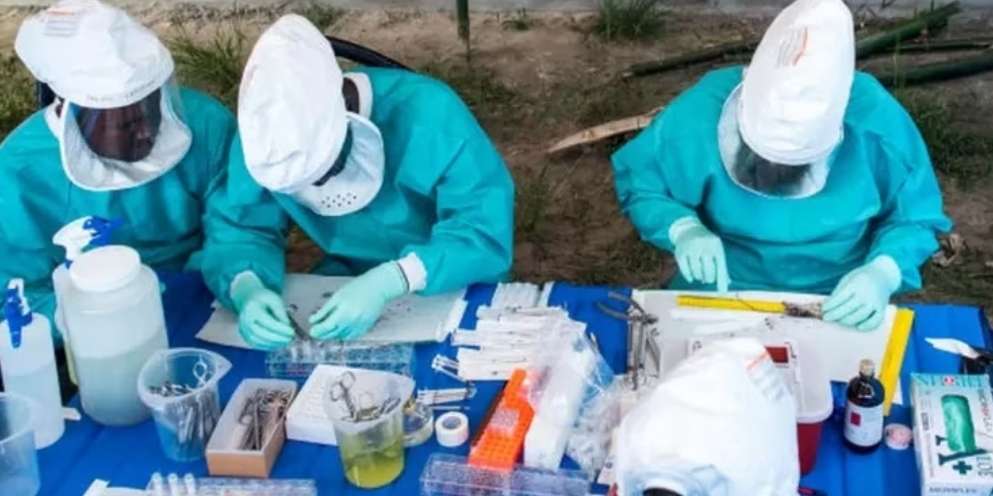 WHO declares highest alert over outbreak of monkeypox