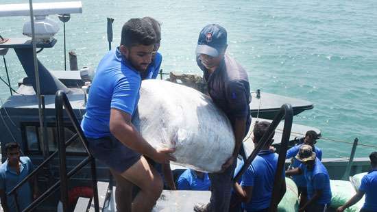 Four arrested with 3,084 kg of beedi leaves in Thlaimannar