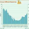 Gross official reserves surpass US$ 5bn mark