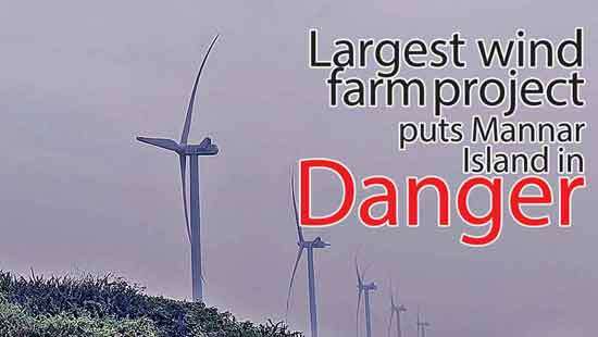 Largest wind farm project puts Mannar  Island in Danger