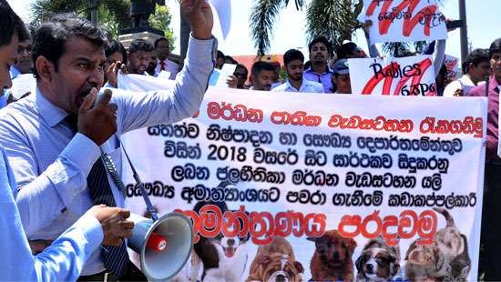 Veterinary Surgeons’ protest