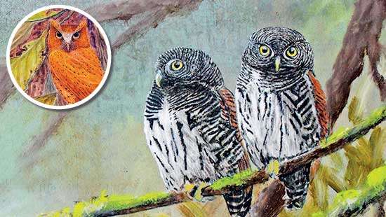 Birder Lester to conduct exhibition