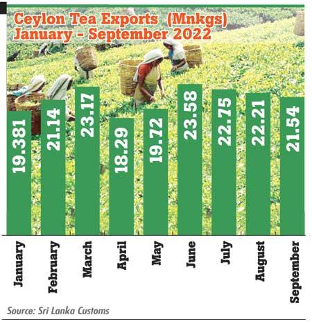 Ceylon Tea exports contracts 8.7% Year-on-Year Image_90b64c3f29