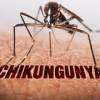 Chikungunya wave hits Sri Lanka: Are you at risk?