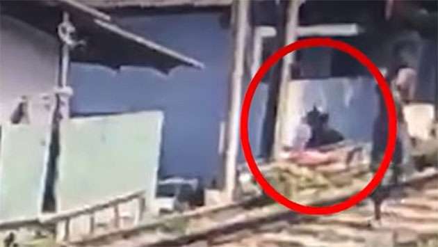 Hand grenade thrown at house in Borella - Breaking News