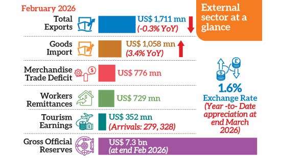 Remittance surge cushions widening external cracks in February