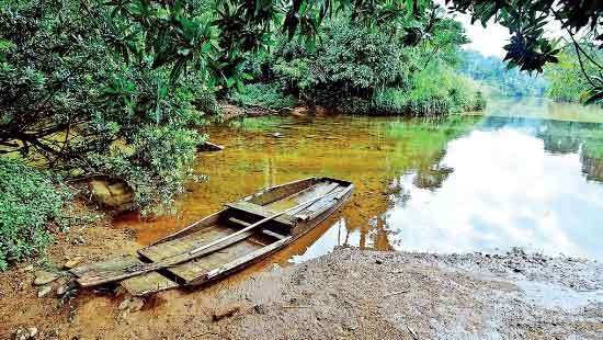 UNLAWFUL ACTIVITIES TAKING PLACE inside Sinharaja forest