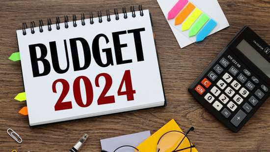 Budget 2024: Govt hard pressed between IMF and demand for public relief