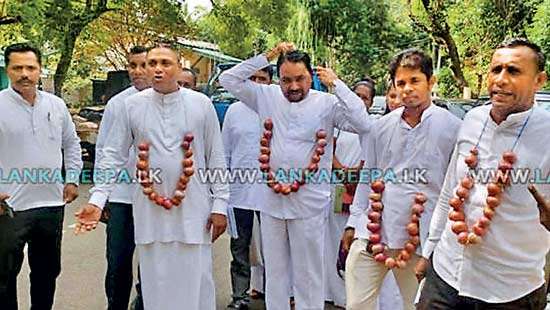 Dambulla Council opposition protests low onion prices with onion garlands