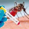 Dengue death toll rises to 45; daily case count tops 1,200