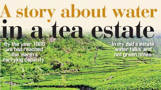 A story about water in a tea estate