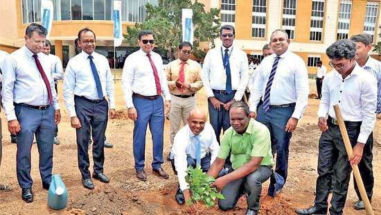 Commercial Bank commences planting 10,000 trees in Kilinochchi and Jaffna districts