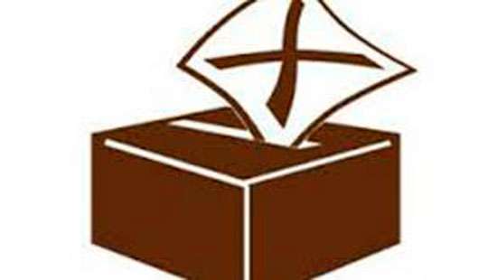 Govt. to seek EC advise on delaying polls